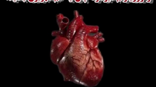 مهربون باش تا خدا ثروتمندت کنه ، هر کسی نون قلبشو میخوره