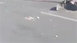 The horrific scenes of dozens of Palestinian martyrs who were massacred by Israeli fighters on Al-Rashid coastal road