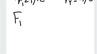 مدرس فیزیک مریم بذرگری