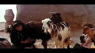 فیلم تنگسیر با بازی بهروز وثوقی  Tangsir Amir Naderi