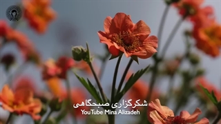 شکرگزاری صبحگاهی  - Shokrgozari Sobhgahi
