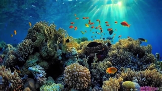 عجایب جهان:هفت عجایب طبیعی جهان