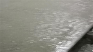 کفسازی سردخانه بالای صفر