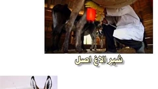 بهترین دارو برای انواع بیماری های قلبی و ریوی و پوستی و سرفه با شیر الاغ