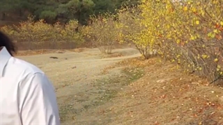 آهنگ "از عشق مردن" هومان پیرحیاتی