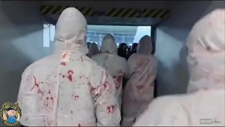 همبستگی جالب طرفداران تیم رئال سوسیداد با مردم غزه+ فیلم و تصاویر