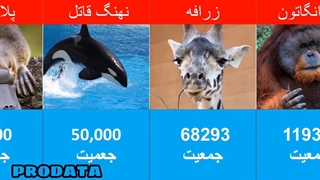 جمعیت حیوانات