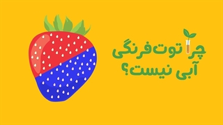 رنگ وجود خارجی نداره!