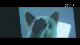 دانلود سریال کره ای یک روز خوب برای سگ بودن