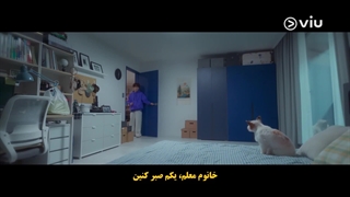 دانلود رایگا سریال یک روز خوب برای سگ بودن