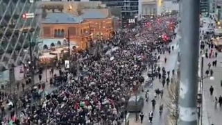 بسیج دانمارک! دمشون گرم =)