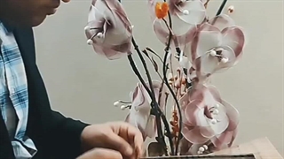 سنتور مجنون توام