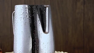 پیچر شیر فردیس