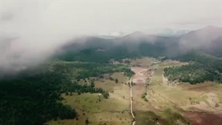 تکیه بر خدا | ماجرایی از پیامبر ص | استاد عالی