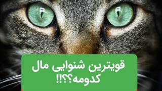 قویترین شنوایی کل حیوانات رو کدومشون داره؟