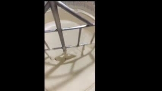 میکسر استیل