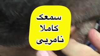 سمعک نامریی