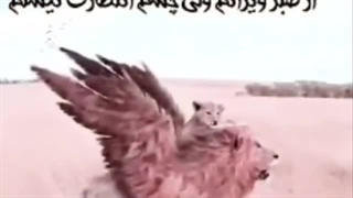 یک روز می آیی که من دیگر دچارت نیستم