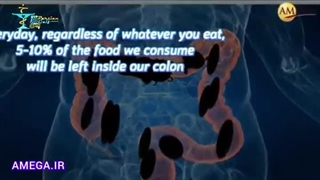 خرید مکمل فیبر برای یبوست بهترین پودر خوراکی لاغری | AMEGA.IR