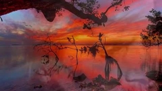به دیدارم بیا هر شب شعری از مهدی اخوان ثالث