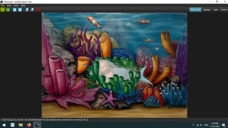 پس زمینه عکاسی نوزادی