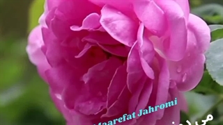 بیمه ملت کد 3291 بلوار مطهری جهرم: بیمه های زندگی بیمه ملت، حافظ سلامتی و آرامش شما