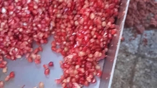 دستگاه ابگیری انار۰۹۱۳۸۸۰۳۱۰۱