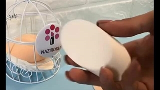 پد آرایشی آلپینا کد 97 بسته 2 عددی