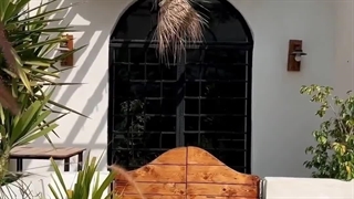 ساخت انواع ویلای پیش ساخته با سازه سبک | ال اس اف سازان | ویلا | ال اس اف