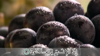 سوره عادیات - ترجمه صوتی و تصویری ۱۱۴ سوره قرآن مهر