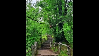 بیایید بهم یاد بدید چجوووووووری مخ هلیا رو بزنننننم~_~