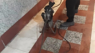 لوله بازکنی شبانه‌روزی ۰۹۱۲۱۸۹۲۰۹۲