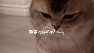 چالش جدید اینستا_ فداش بشمه منه