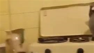 ویدئویی از داخل منزل رهبر انقلاب در خیابان سرشور مشهد