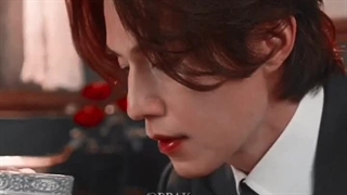 روباه های جذابمون