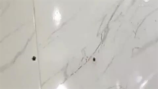 نصب توالت فرنگی در تهران 09121892092