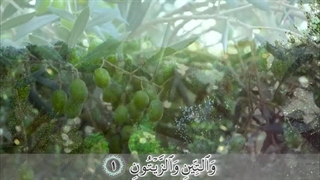 سوره تین - ترجمه صوتی و تصویری ۱۱۴ سوره قرآن مهر