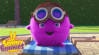 خرگوش های آفتابی این قسمت: پروانه مناسب