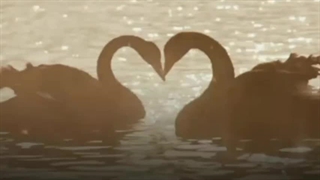 بیبی دوست داشتنی من...