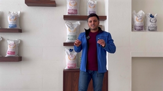 برنج سرلاشه