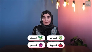 برای رژیم کتوویژن چی بخرم؟