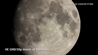 دوربین عکاسی نیکون Nikon CoolPix P1000