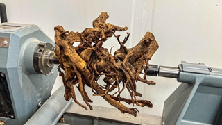 تبدیل شگفت انگیز چوب تراریوم به یک اثر هنری خیره کننده