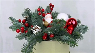 خرید گل و درخت کریسمس