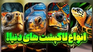 انواع لاکپشت های جهان !!!