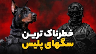 10 تا از خطرناک ترین10 تا از خطرناک ترین سگ های پلیس جهان 