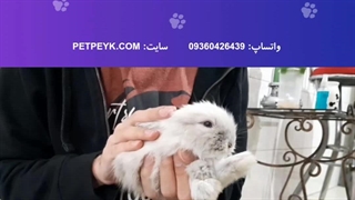 ویدیو رضایت مشتری عزیز سایت پت پیک از تهران