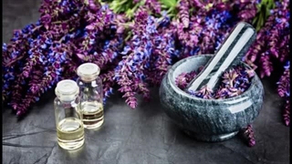 گیاه بنفش پر خاصیت | خواص مریم گلی