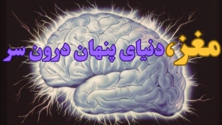 حقایقی حیرت آور درمورد مغز انسان