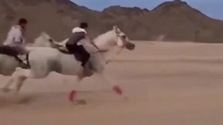 حاضرم باهاش برم کل دنیا رو بگردم مخصوصاً طبیعت و صحرا وای چه حالی بده